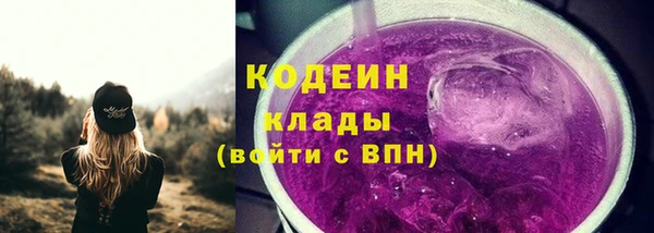 крисы Горняк