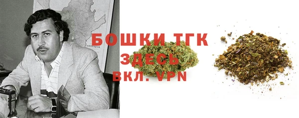 крисы Горняк