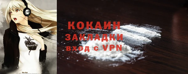 крисы Горняк