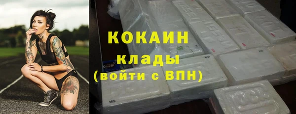 крисы Горняк