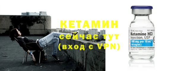 крисы Горняк