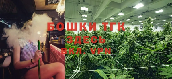 тгк Горно-Алтайск