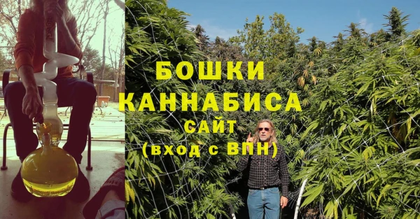 крисы Горняк