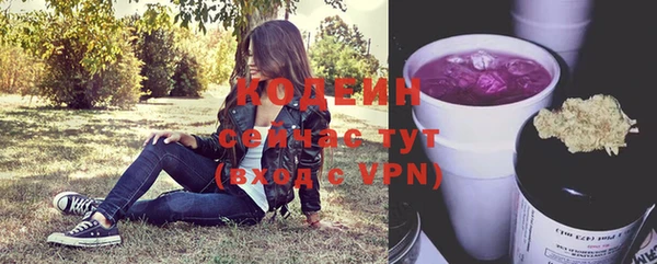 крисы Горняк