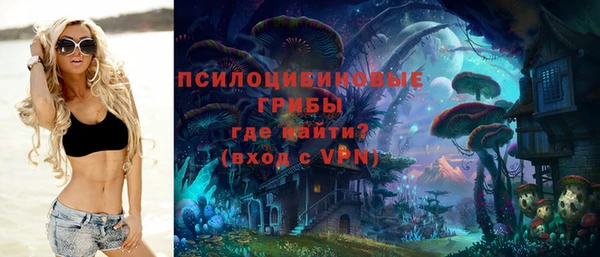 крисы Горняк
