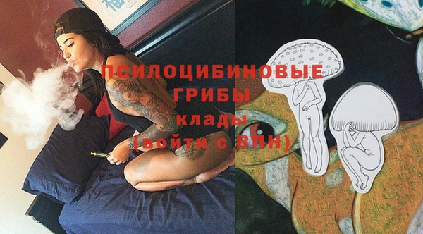 тгк Горно-Алтайск